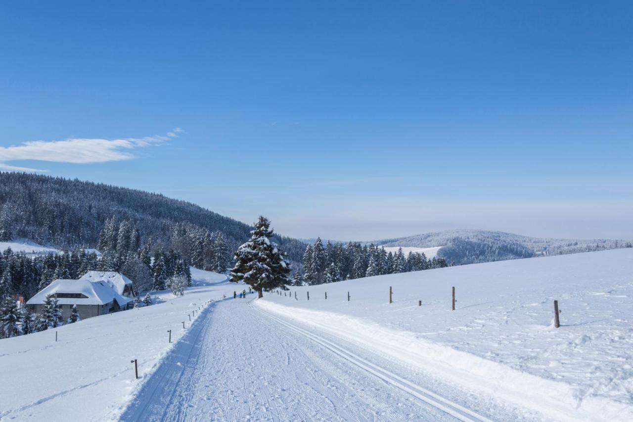 Ferienhotel Schwarzwaelder Hof Фелдберг Екстериор снимка